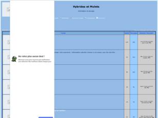 Hybrides et Mulets