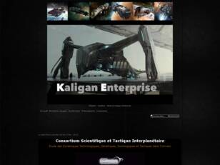 Alliance Kaligan Enterprise : le Forum