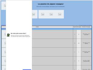 La passion du pigeon voyageur