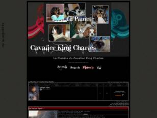 La Planète du Cavalier King Charles