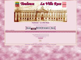 Toulouse - La ville Rose