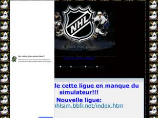 Ligue de hockey simule