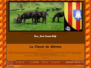 Le cheval de Mérens