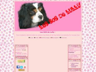 Les SOS de Lully