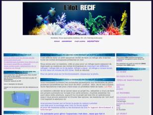 aquarium marin, eau de mer, recifal, coraux, l ilot recif