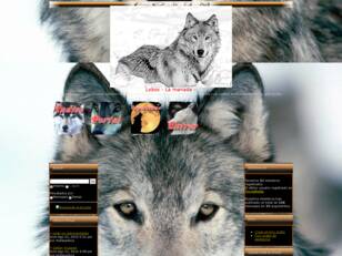 Lobos - La manada