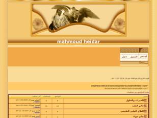 mahmoud heidar