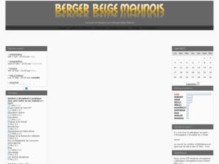 Berger Belge Malinois