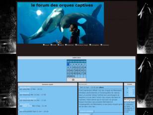 orques captives