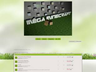 Mega Minecraft Serveur