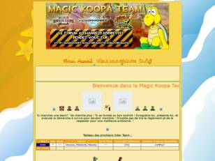 Magic Koopa Team