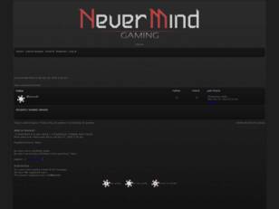 NeverMind Gaming