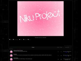 Niku Project