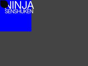 Ninja Senshuken