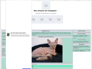 Free forum : Chiens, chats, rongeurs, oiseaux.