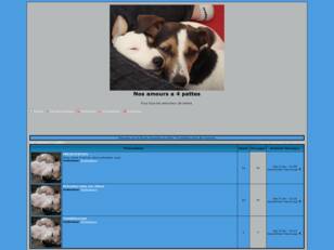 créer un forum : nos amours a 4 pattes