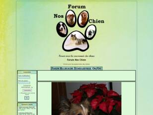 Forum Nos Chien