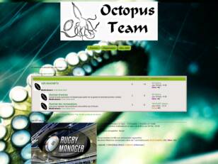 Octopus Team