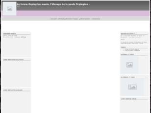creer un forum : Le forum Orpington mania