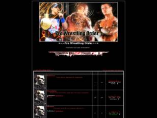 ¤~~Pro Wrestling Order~~¤