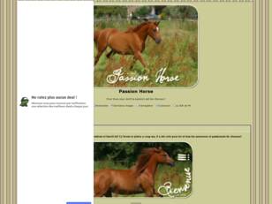 Passion Horse