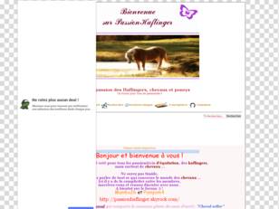 PassionHaflinger