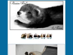 créer un forum : Passion-furet