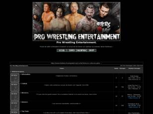 Pro Wrestling Entertainment.