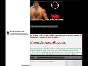 Professionnal Wrestling Entertainement