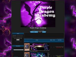Purple Dragon Academy