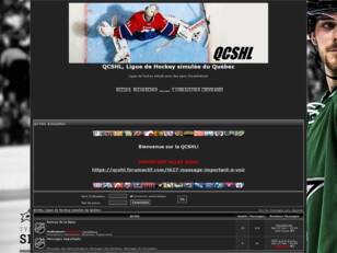 QCSHL, Ligue de Hockey simulée du Québec