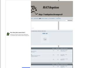 RATdoption