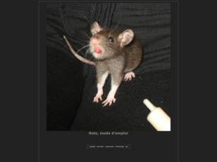 Rats, mode d'emploi