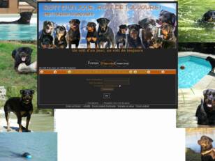 créer un forum : Forum sur les rottweilers
