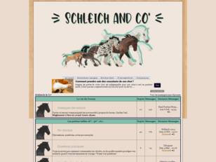 Schleich & Co'