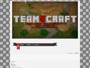 Team4Craft