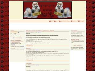 Shih Tzu Forum: My Precious Shih Tzu