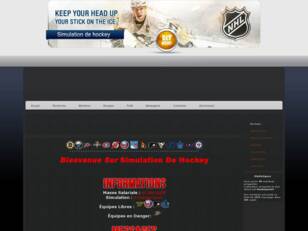 Simulation de Hockey