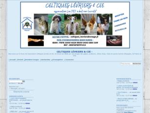 Forumactif.com : SOS Galgos Podencos & chiens d'eau