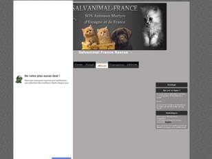 FORUM PRIVè DE L' ASSOCIATION SALVANIMAL FRANCE