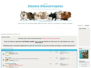 Souris domestiques : le forum