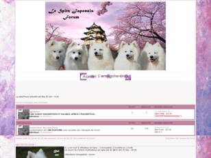 Le Spitz Japonais