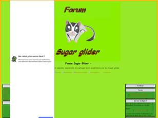 Forum gratuit : Sugar Glider