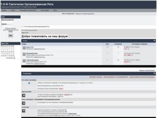 Т-О-Р-Тактически Организованная Рота