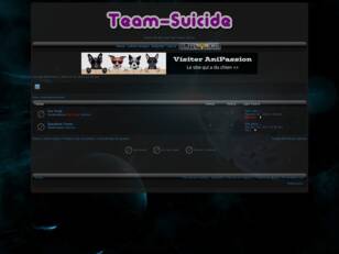 Team Suicide