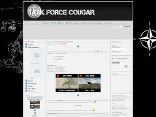 Task Force Cougar