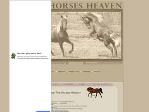 Horses Heaven