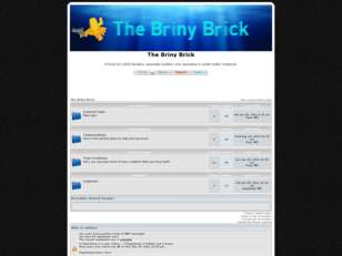 LEGO: The Briny Brick