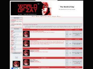 The World of Zay