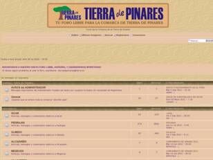 Foro gratis : TIERRA de PINARES